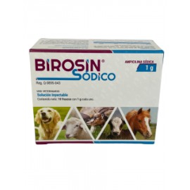 BIROSIN SODICO INY 1 GR. INY.  RS (CAJA 10 PASTILLAS C/10 DIL)